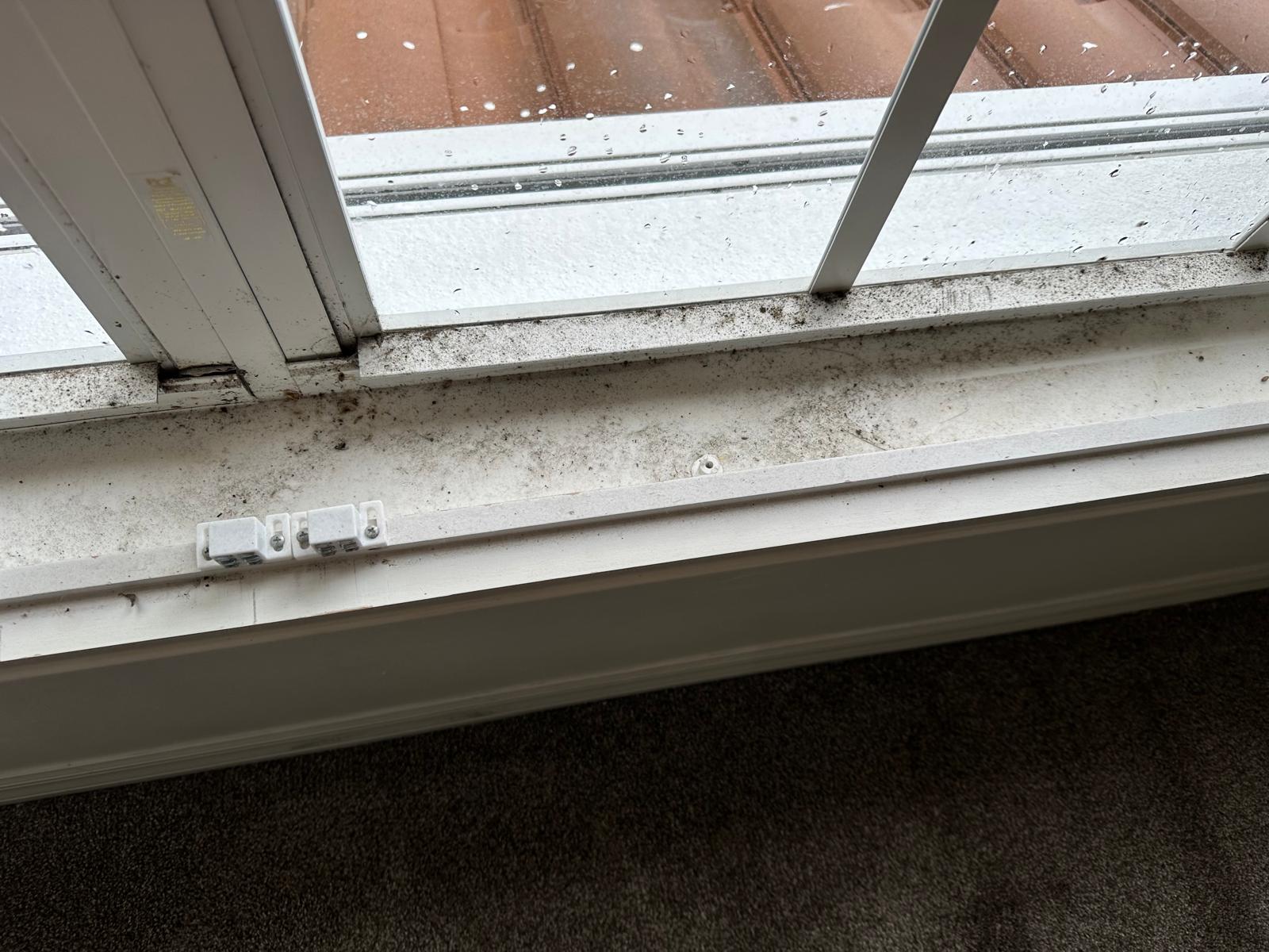 Window tracks before